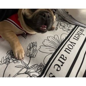 Meet your Posher, Eileen